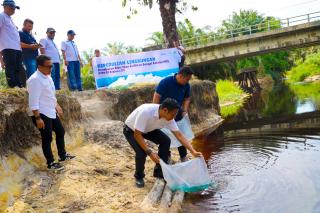 60 Ribu Bibit Ikan Ditebar di Sungai Dekat 12 Pabrik Sawit PTPN IV Regional III