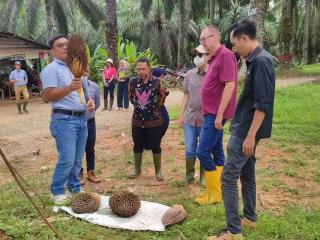 Produksi Kompos dari Limbah Sawit, Tim Mahasiswa UBB Rela Tanam Modal Gede