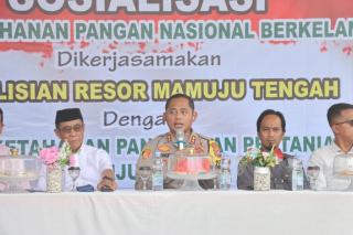 Penyaluran Pupuk Subsidi dan Alih Fungsi Lahan Pengaruhi Ketahanan Pangan di Mamuju Tengah