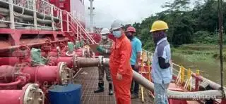 PE Gratis Tak Efektif Dongkrak Harga TBS, Akademisi Sarankan ini