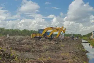 Petani: Kami Tak Tahu Gambut Mana yang Tak Boleh Ditanami Sawit