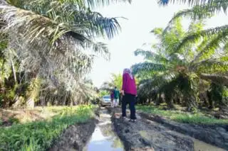 Perbaikan Tata Kelola, Industri Sawit di Maluku Tengah Diaudit