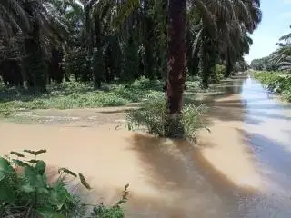Musim Banjir Bikin Petani Sumbar Gelisah