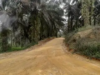 Akses ke Program Sarpras Diminta Dipermudah