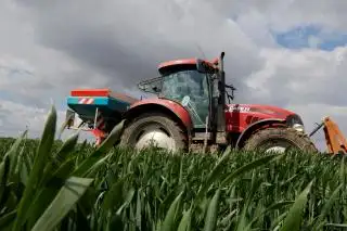 Ekspor Nitrogen AS Melonjak saat Eropa Berebut Pupuk