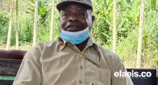 Cerita Eks Pamen Intelijen Papua Tentang Kebun Sawit Itu