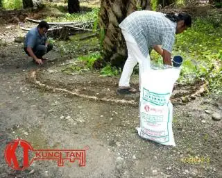 Kata Petani, Dapat Pupuk Setengah Subsidi pun Jadilah