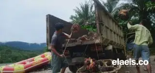 Nasib Riau: Kontribusinya Besar, Dapatnya Sedikit