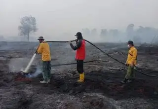 Mudahkan Koordinasi, 10 Kabupaten/Kota di Riau Diminta Tetapkan Siaga Darurat Karhutla