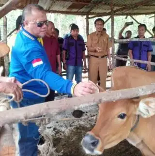 Salurkan Ternak Sapi Bergulir, Ketua KTNA Inhu Sarankan Pengadaan Ternak untuk CSR Korporasi Sawit