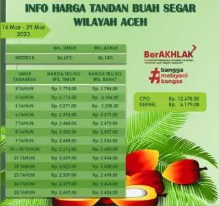 Harga TBS Wilayah Timur Ditetapkan Lebih Mahal dari Kawasan Barat Aceh
