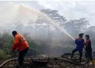10 Ha Kebun Sawit Warga Terbakar, Api Belum Padam