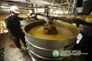 Produksi CPO Turun, Gapki Ingatkan Ancaman Karhutla
