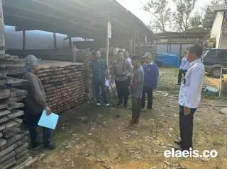Polisi dan Polhut TNBT Tangkap Terduga Pelaku 'Illegal logging'