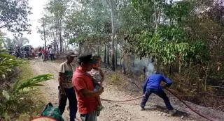 22 Rante Kebun Sawit dan Karet Warga Terbakar, ini Penyebabnya