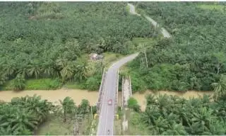 Naiknya Suhu Udara Akibat Massifnya Pembukaan Kebun Sawit?