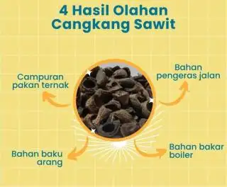 Bengkulu Ikut Bantu Jepang Kurangi Pemakaian Bahan Bakar Fosil
