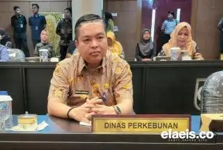 Ini Daftar Harga Jual CPO dan Kernel di Riau