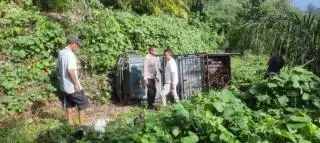Mandor Panen Tewas Terhimpit Mobil Langsir Sawit