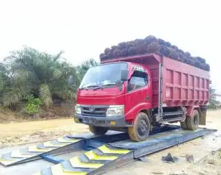 Petani Desak Pemda Tutup Loading Ramp Sawit