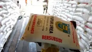 Petani Sawit Harus Waspadai Tawaran Pupuk Murah, Jangan Sampai Berujung Penjara