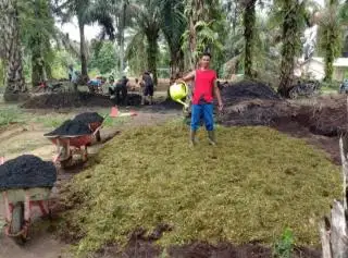 Ikuti Arahan Kementan, P4S Suka Maju Antisipasi El-Nino dengan Pupuk Organik