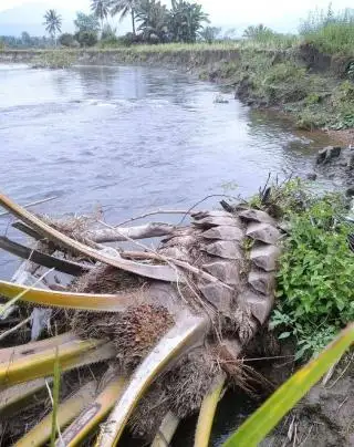 Abrasi di Bengkulu Tengah Butuh Penanganan Mendesak