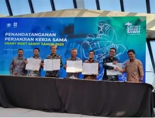 Dua Peneliti Unhas Dibiayai BPDPKS Kembangkan Robot Pengumpul Brondolan dan Drone Pemanen Sawit