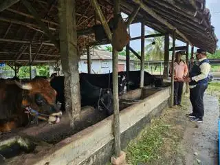 Stok Daging Cukup, Kendala Pengadaan Pakan akan Dicarikan Solusi
