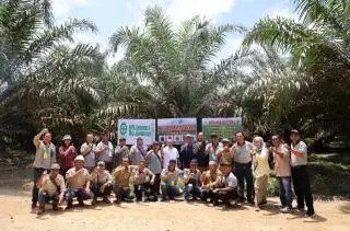 Petani Sawit Kalbar Terbang ke Riau Pelajari Kunci Sukses Replanting