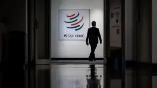 Belum Kelar di Bali Tahun Lalu, Indonesia kembali Dorong WTO Selesaikan Perundingan Pertanian