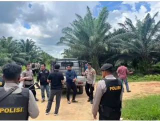 Triwulan I 2024, Sektor Perkebunan di Sulbar Tumbuh 3,68 Persen
