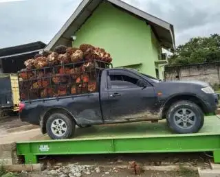 PKS Harus Melakukan Tera Ulang Timbangan