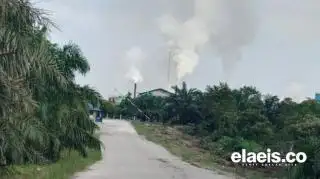 Gaduh Pabrik Kelapa Sawit