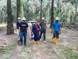 Melalui ILO, Amerika Serikat Jadikan Simalungun Sebagai Kiblat Sawit Dunia