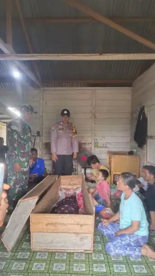 Diserang Harimau Saat Pipis, Kepala Pekerja Sawit Putus