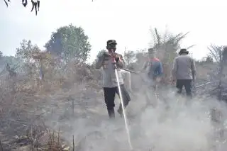Hanguskan 311,9 Hektar Lahan, Karhutla di Inhu Berhasil Dipadamkan