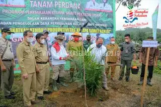 Pentingnya Peremajaan Disosialisasikan kepada Petani Sawit