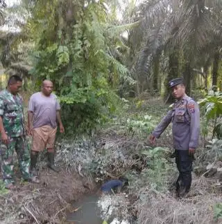 Hilang 5 Hari, Perempuan Pensiunan BUMN Ditemukan Tewas di Parit Kebun Sawit