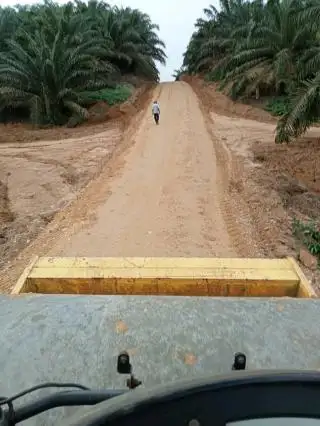 Petani Sawit Keluhkan Sulitnya Mendapatkan Bantuan Sarpras