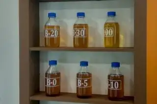 Persentase Minyak Sawit pada Biodiesel Terus Ditambah, Begini Efeknya Terhadap Devisa dan Emisi Karbon