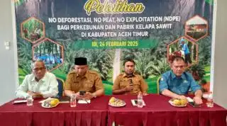 Pemkab Aceh Timur Gelar Pelatihan NDPE Bagi Perusahaan Perkebunan dan Pabrik Sawit