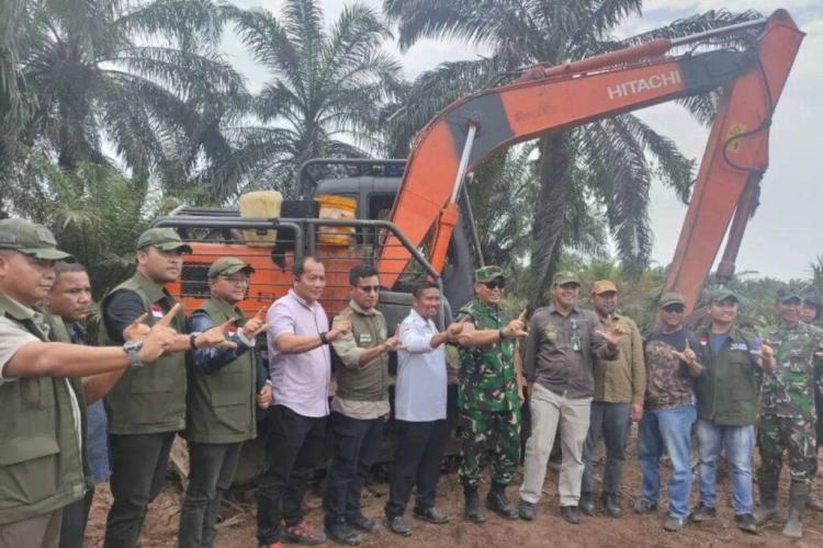 4.700 Hektare Sawit di TNTN Dimusnahkan