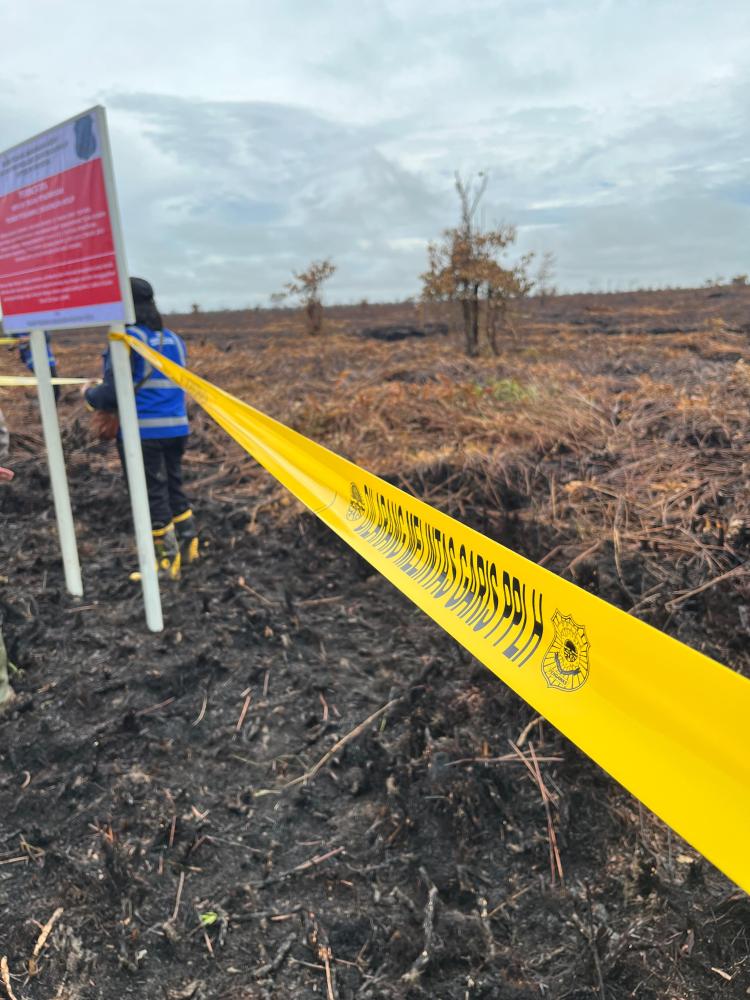 Dilaporkan Perusahaan Sawit, Gakkum LH Segel 200 Hektare Lahan Terbakar di Kubu Raya