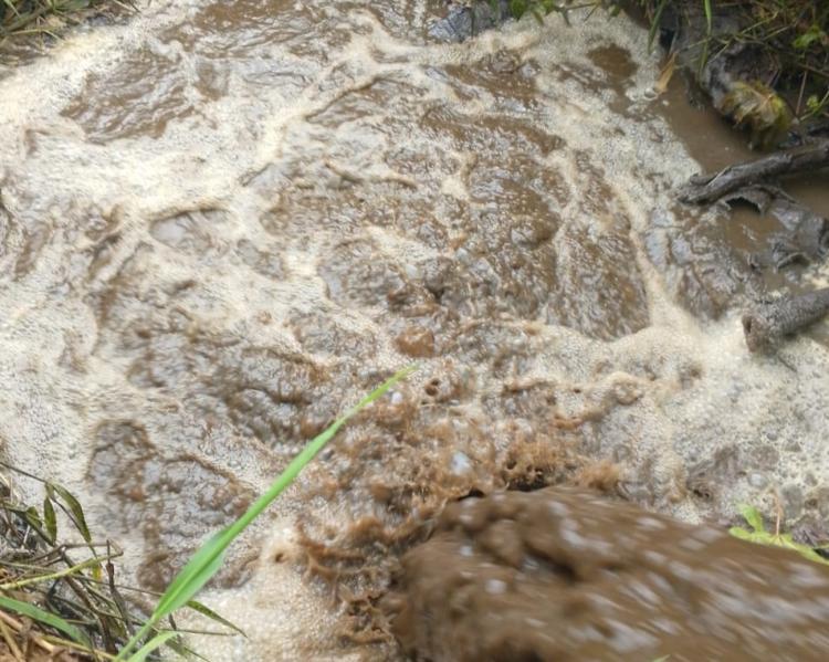 Warga Rotan Semelur Inhil Menemukan Limbah Pabrik PT Bhumireksa Nusa Sejati Dibuang ke Sungai