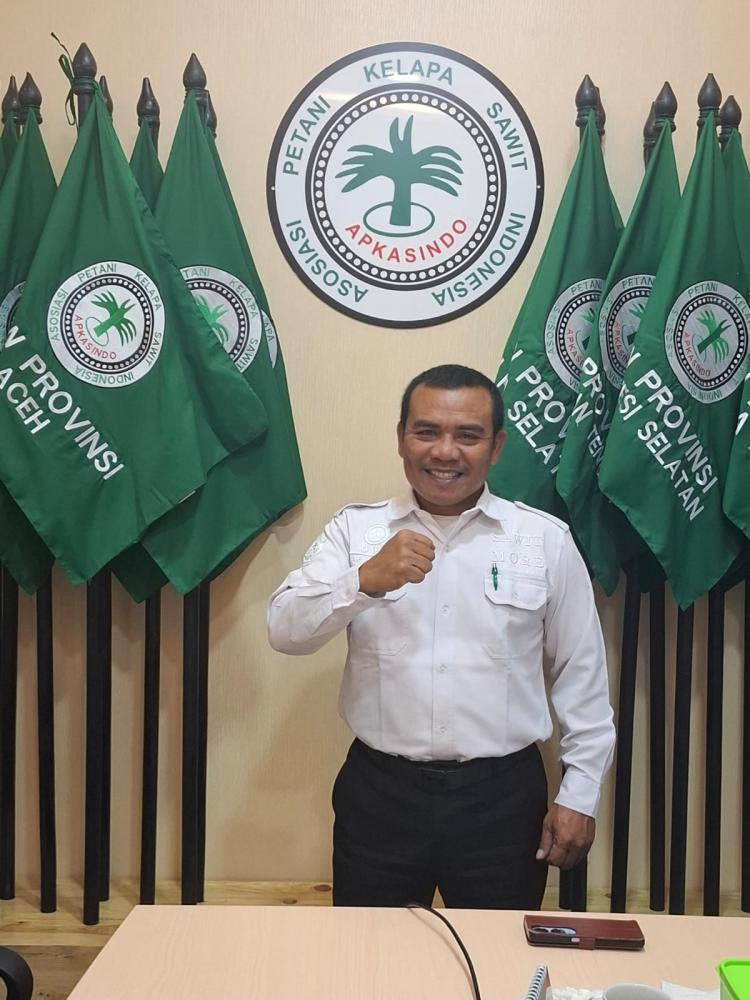 Harga Sawit Aceh Turun, Begini Kata Apkasindo
