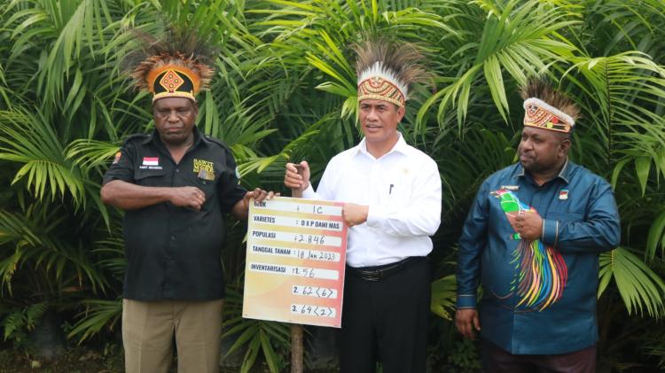 ISPO Masih Lelet, Petani Papua Selatan Tuding ATR/BPN Lamban Urus Legalitas Lahan