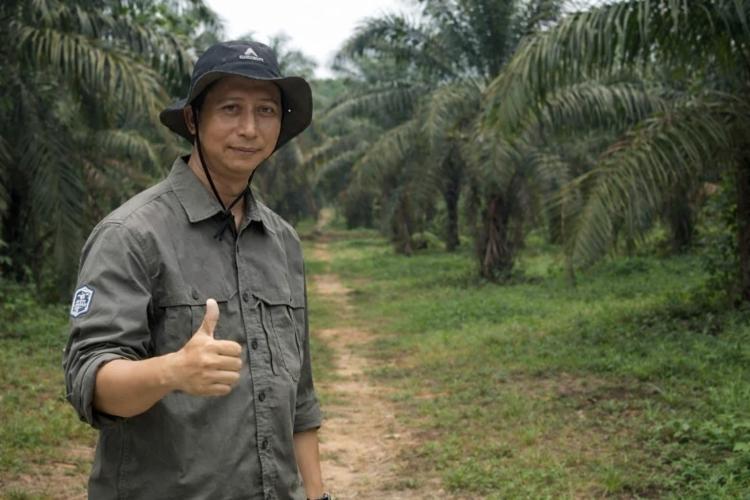 Pajak Air Permukaan Sawit di Riau Diprotes Akademisi, Dinilai Tak Berdasar Ilmu Tanaman