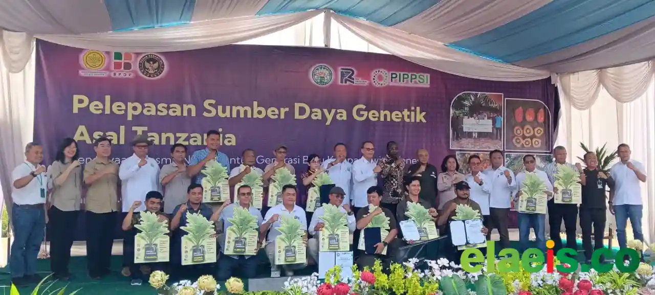 Perkuat Fondasi Genetik Sawit Nasional, SDG Asal Tanzania Dilepas di Sumatera Utara