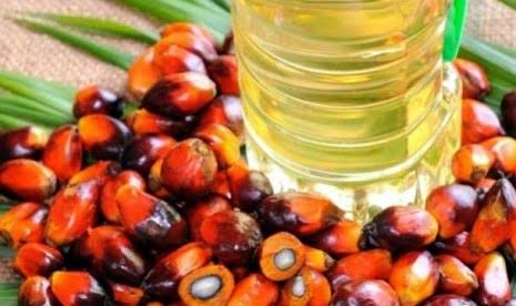 Konsumsi Minyak Sawit Dalam Negeri Tinggi, Setahun Habis Segini